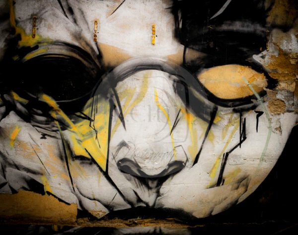Photographie murale -style urbex à Mulhouse