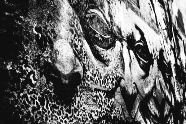 Regard noir et blanc