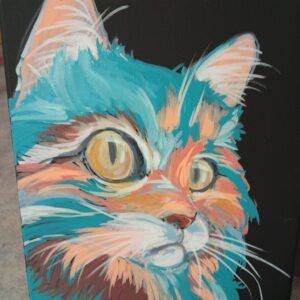 Regard du petit chat